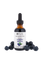 Load image into Gallery viewer, Blueberry + White Tea retail size